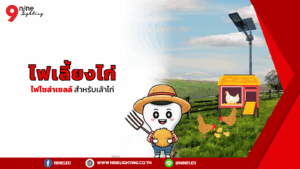 ไฟโซล่าเซลล์สำหรับเล้าไก่ ไฟเล้าไก่