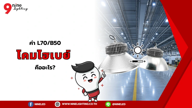 ค่า L/B ของโคมไฟไฮเบย์ คืออะไร?